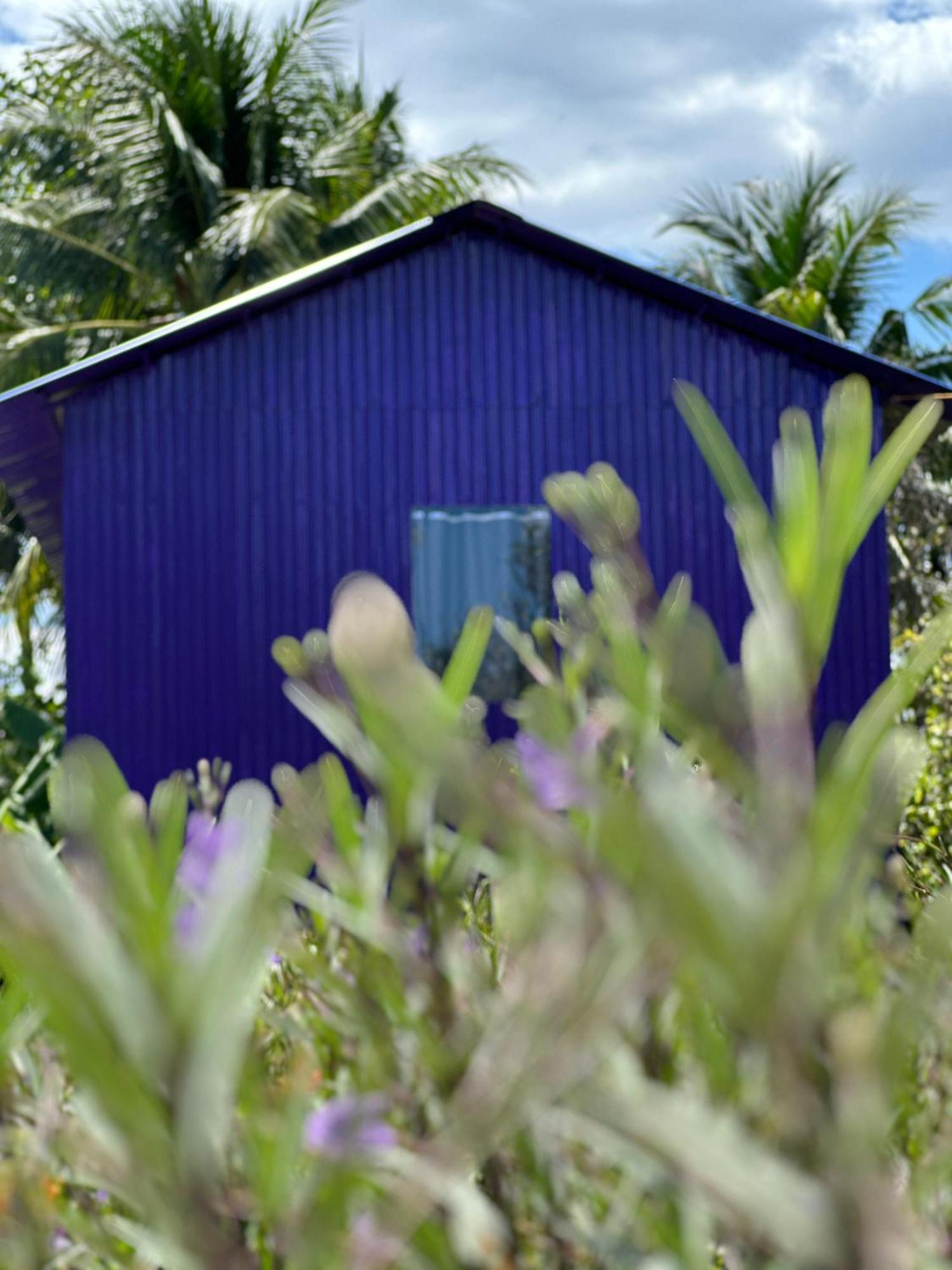 Hide Away Bungalows In Ben Tre City Exterior photo